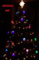 Highlight for Album: Christmas 2005