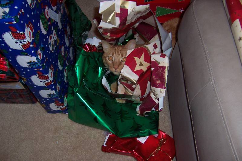 Alex Christmas 2005 022