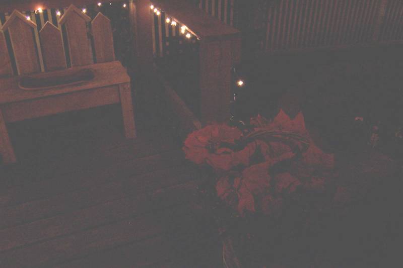 Shelby's blockade.  She can't get onto the smaller deck.  That is the Pete's territory.  I had to lighten this picture.  It's not the best.
