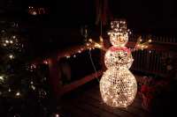 Mr. Snowman