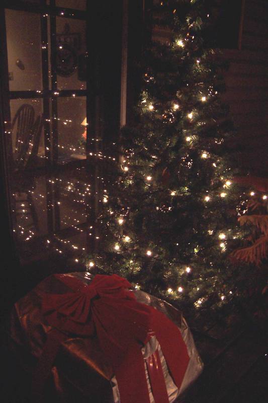 Tree and cat house as a present.  So far the cats haven't tried climbing the tree.