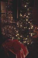 Tree and cat house as a present.  So far the cats haven't tried climbing the tree.