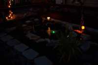 night pond 1