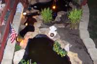 night pond with flash