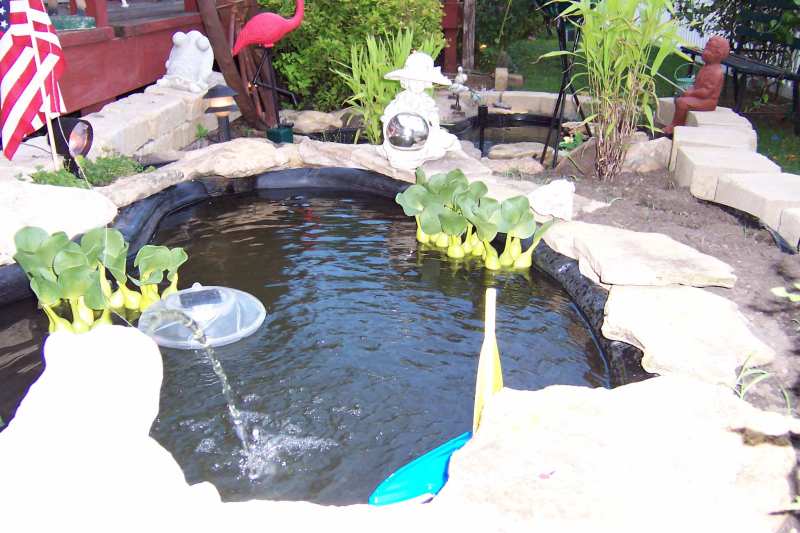 pond 1