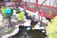 A few plants, but it will look a lot nicer next year when all the dirt will be covered with plants around the pond.