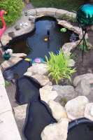 pond 13