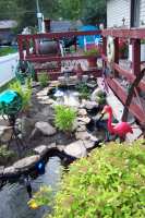 pond 2