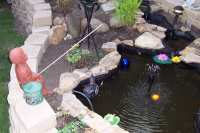 pond 6