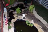 pond 9
